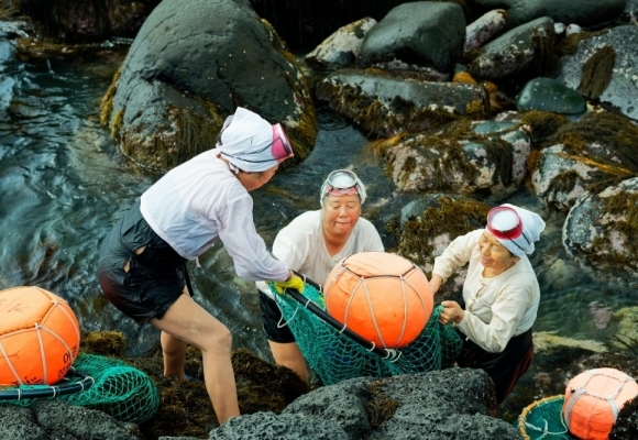 2020.고산해녀축제