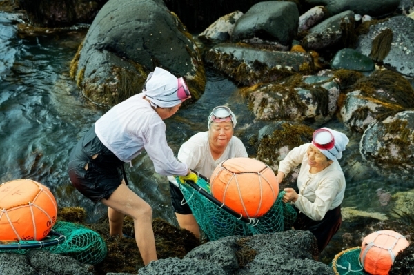 2020.고산해녀축제